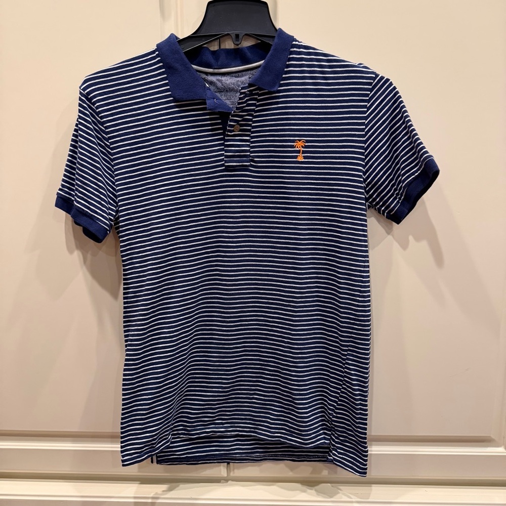 Cactus Navy and White Striped Polo Shirt
